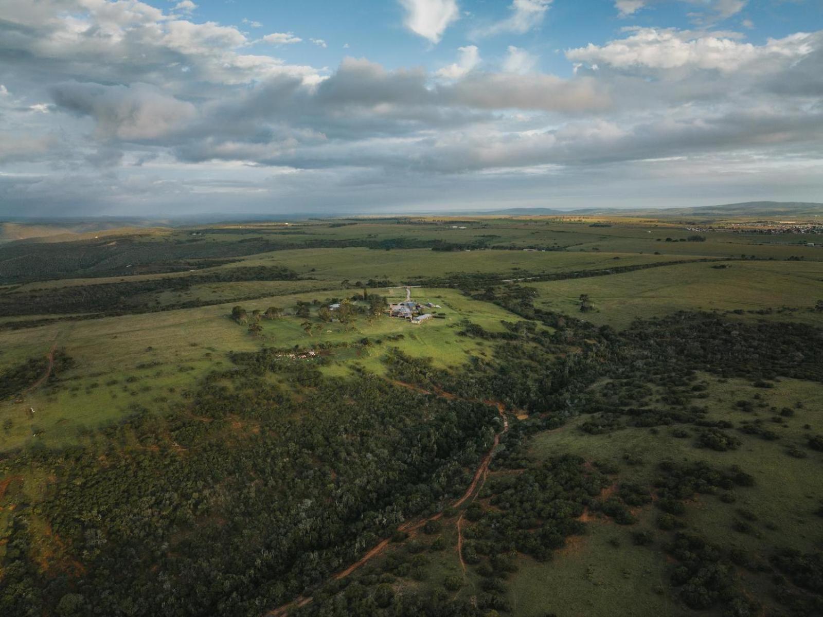 Alexandria  Umbono Private Game Lodge מראה חיצוני תמונה