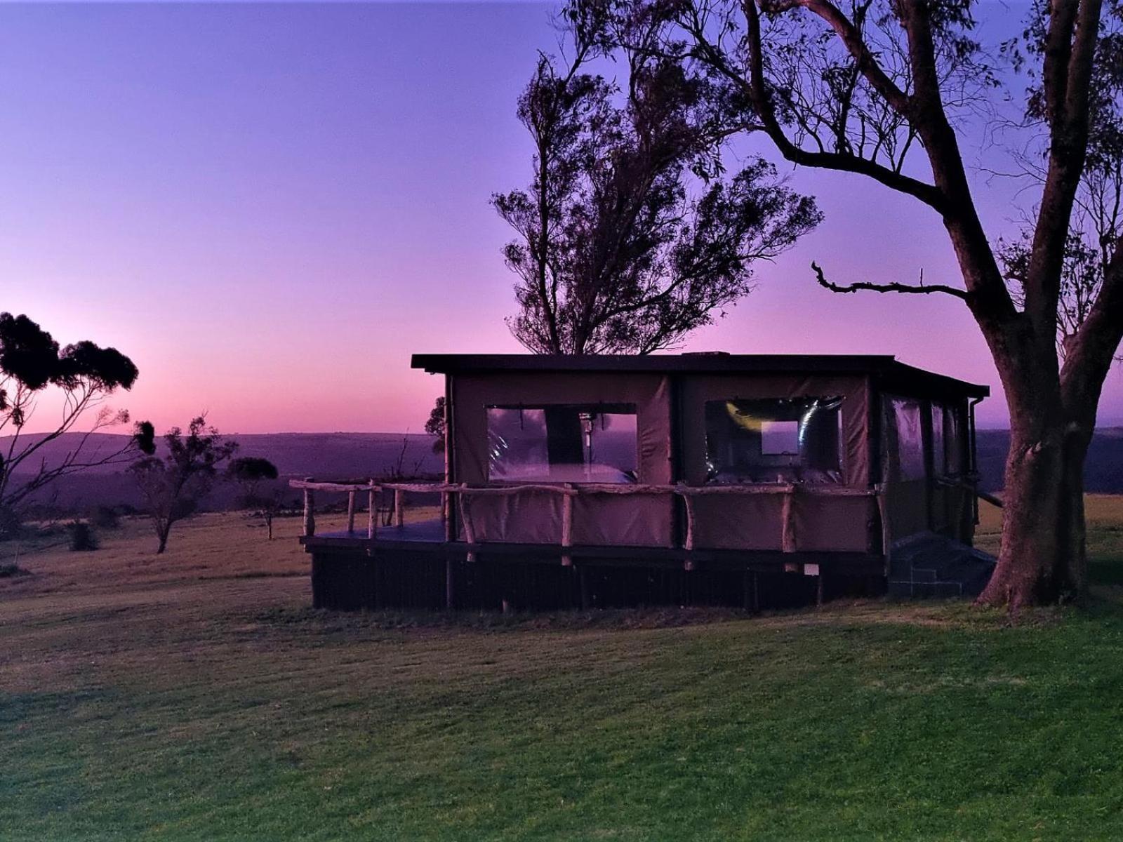 Alexandria  Umbono Private Game Lodge מראה חיצוני תמונה